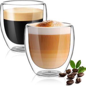 Double Walled Glass Cup for Hot & Cold Tea 250 ml